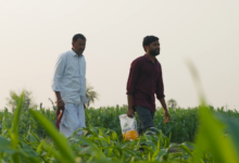 pioneer-completes-100-years-of-agricultural-innovation